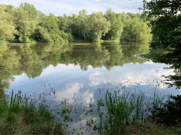 Mühlendammteich (Rahden)-1