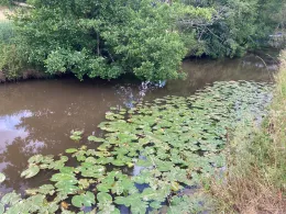 Glan (Nanzdietschweiler)