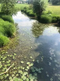 Wörnitz (Schopfloch)-1