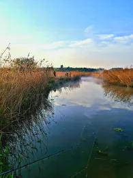 Wörnitz (Schopfloch)