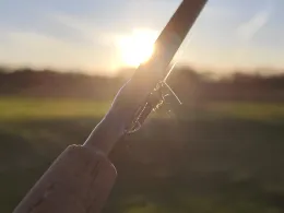 Überfallhase (Quakenbrück)-3