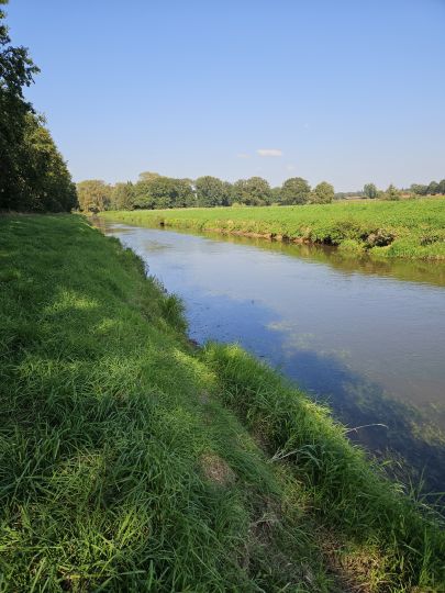 Überfallhase (Quakenbrück)-2