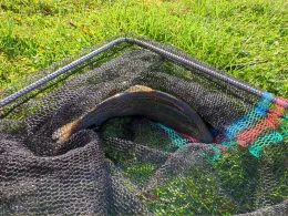 Forellenteich Gandow