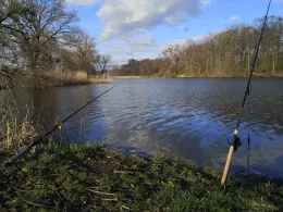 Starorzecze Odry (Mechnica)-1