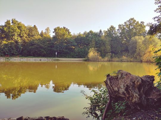 Kranzbergteich (Werdau)-3