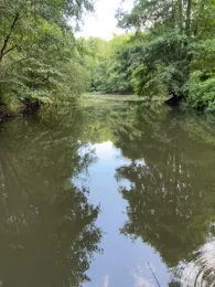 Karpfenteich (Belsch)-1