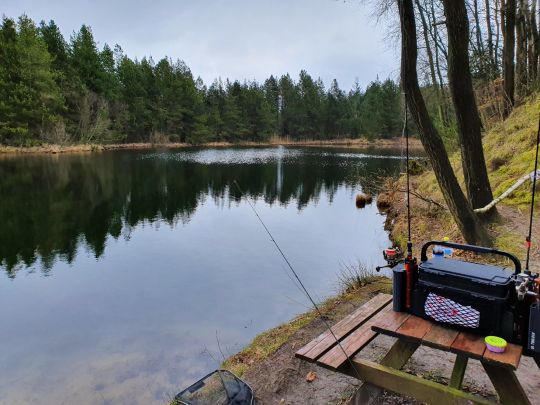 Bjerrely Fiskesø-2