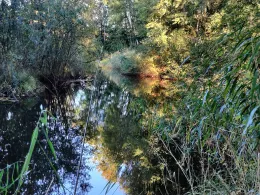 Ziegeleiteiche Lauenbrück-1