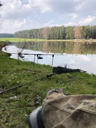 Altweiher (Bechhofen)