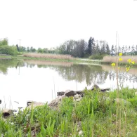 Scheibengrube (Tonndorf)-1