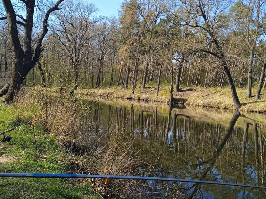 Gänsewinkel (Prieschka)-4