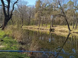 Gänsewinkel (Prieschka)-4