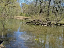 Gänsewinkel (Prieschka)-2