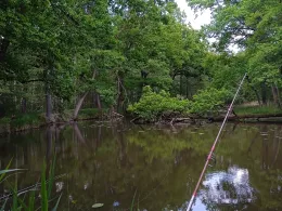 Gänsewinkel (Prieschka)