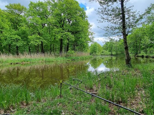 Gänsewinkel (Prieschka) angeln