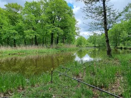 Gänsewinkel (Prieschka)-1