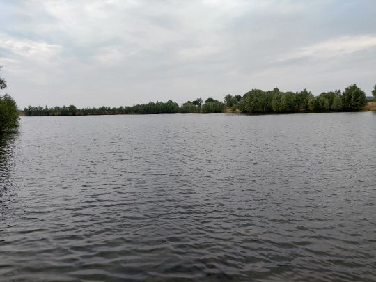 Kleiner Pfeifer (Emmericher Eyland)-1