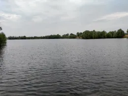 Kleiner Pfeifer (Emmericher Eyland)-1