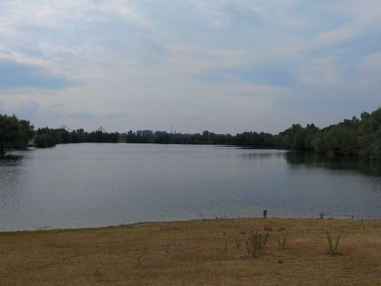 Kleiner Pfeifer (Emmericher Eyland)-2