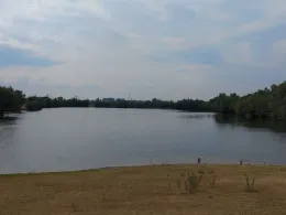 Kleiner Pfeifer (Emmericher Eyland)-2