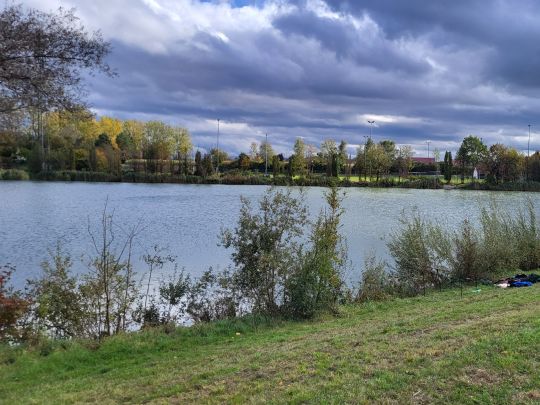 Baggersee Koch (Rißtissen)-2