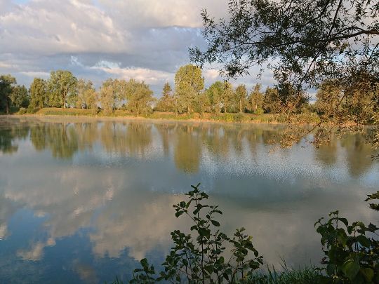 Baggersee Koch (Rißtissen)-1