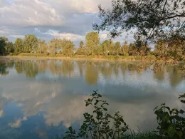 Baggersee Koch (Rißtissen)-1