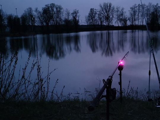 Baggersee Koch (Rißtissen)