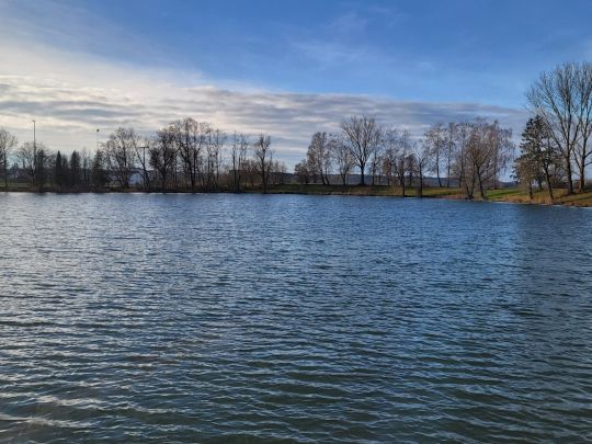 Baggersee Koch (Rißtissen)-4