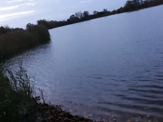 Kleiner Teich (Neermoor) ALLE ANGELN