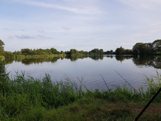 Kleiner Teich (Neermoor) ALLE ANGELN