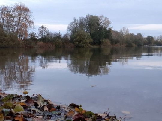 Kleiner Teich (Neermoor) ALLE ANGELN