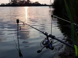 Kleiner Teich (Neermoor)-2