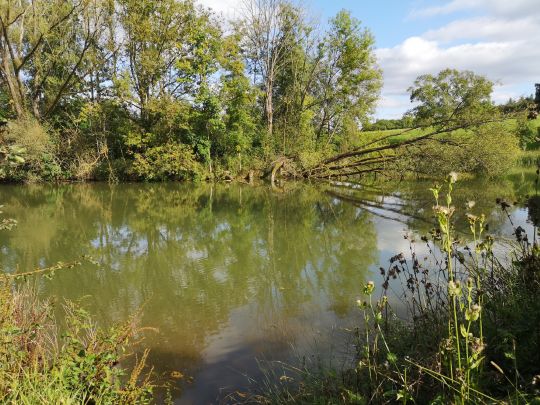 Angeln in Callenberger Forst-West