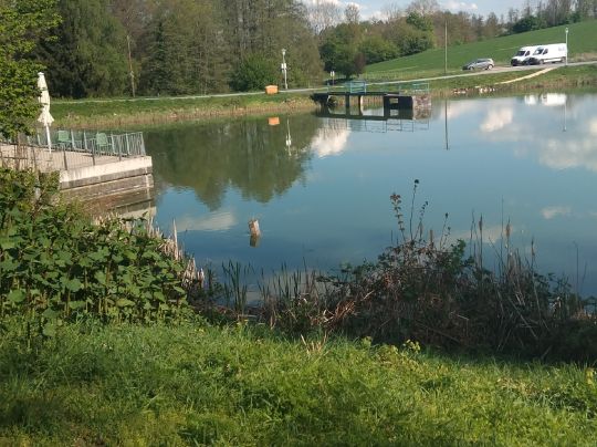 Wolfgangsee (Coburg)-3