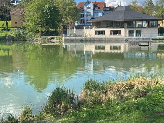 Wolfgangsee (Coburg)-2