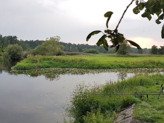 Angeln in Manteler Forst