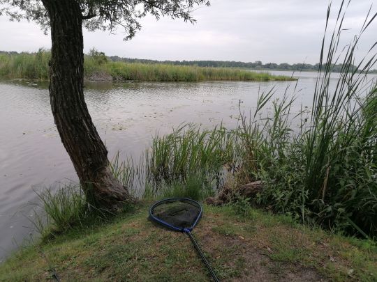 Beetzsee (Brandenburg/Havel) angeln