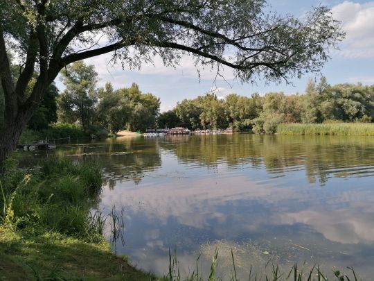 Beetzsee (Brandenburg/Havel)-4