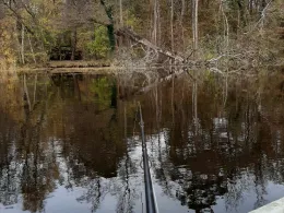 Krummer See (Königs Wusterhausen)-3