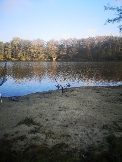 Krummer See (Königs Wusterhausen)-4