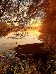 Krummer See (Königs Wusterhausen)-2