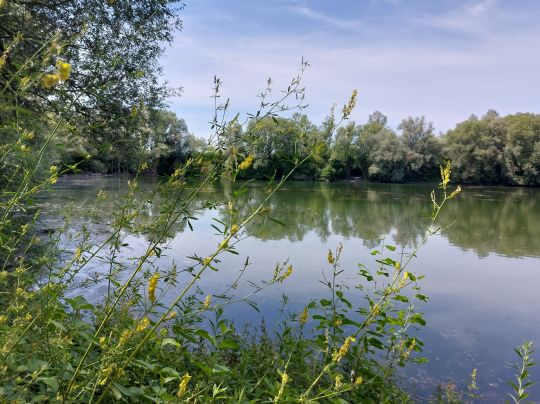 Autobahnweiher Dingolfing