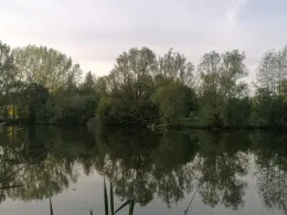 Neuer Börner (Schlotheim)-2