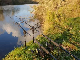 Obere Aue (Halle/Saale)-2