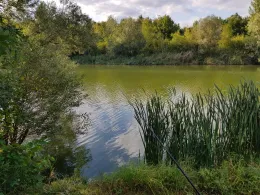 Obere Aue (Halle/Saale)-3