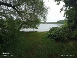 Zschornewitzer See (Golpa II)-4