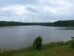 Zschornewitzer See (Golpa II)-3