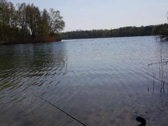 Zschornewitzer See (Golpa II) angeln
