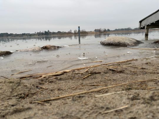 Zarrenthiner Kiessee (Jarmen)-3